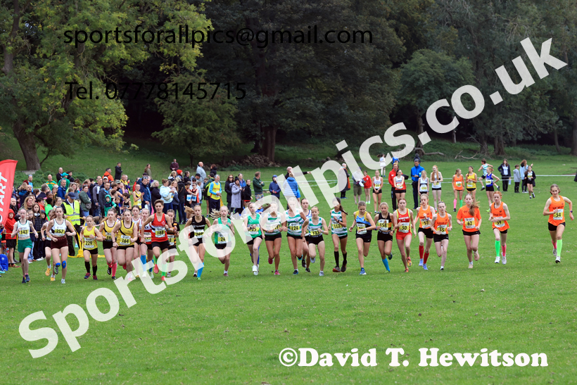Girls Under-15s 2025 Start Fitness NEHL, Thornley Hall Farm, Peterlee, County Durham. Photo: David T. Hewitson/Sports for All Pics